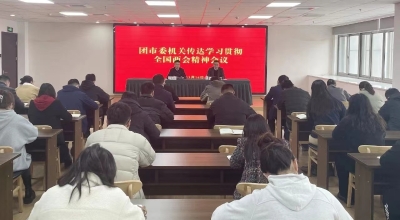 團市委機關召開專題會議傳達學習貫徹全國兩會精神